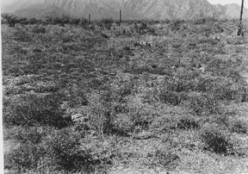 Photo Archive No. 262.2.1948.09