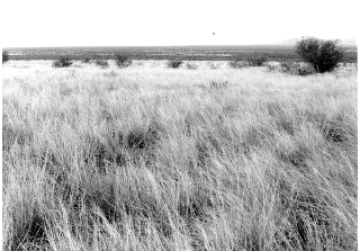Photo Archive No. 262.1.1987.07