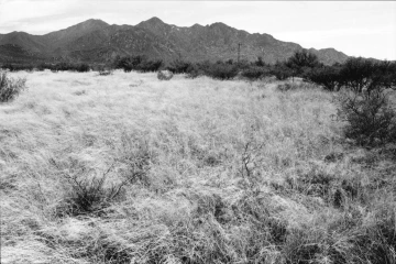 Photo Archive No. 262.2.2000.05