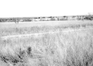 Photo Archive No. 266.1.1984.08