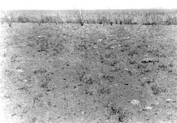 Photo Archive No. 266.1.1953.06