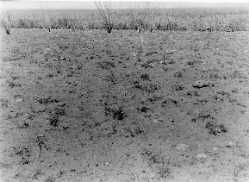 Photo Archive No. 266.1.1954.06