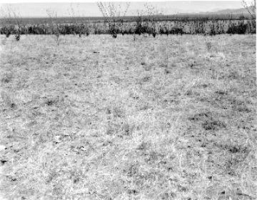 Photo Archive No. 266.1.1956.06
