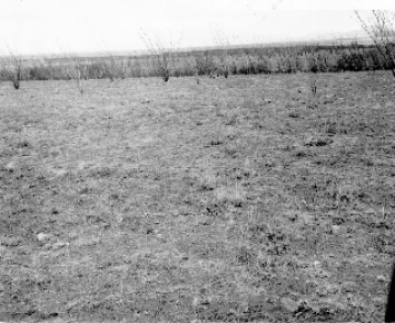 Photo Archive No. 266.1.1957.06