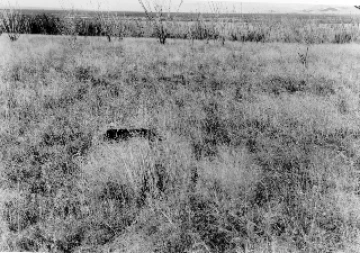 Photo Archive No. 266.1.1955.10