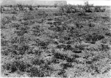 Photo Archive No. 266.2.1948.09