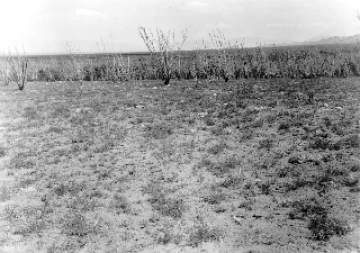 Photo Archive No. 266.1.1953.09