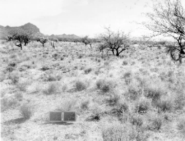 Photo Archive No. 270.2.1960.04