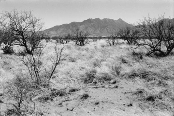 Photo Archive No. 270.1.2000.04