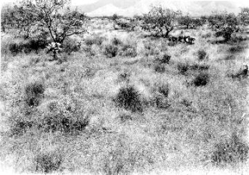 Photo Archive No. 270.1.1948.09 Photo Archive No. 270.1.1948.09