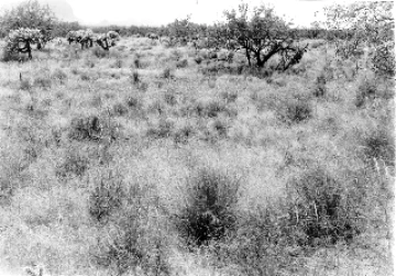 Photo Archive No. 270.2.1948.09