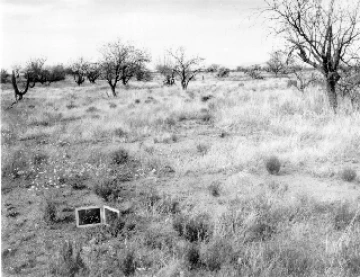 Photo Archive No. 273.1.1960.04