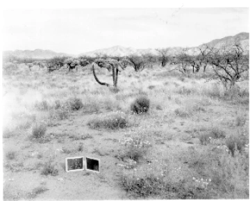 Photo Archive No. 273.2.1960.04