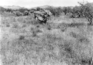 Photo Archive No. 273.2.1948.09