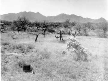 Photo Archive No. 274.2.1960.04