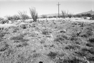 Photo Archive No. 274.1.2000.04