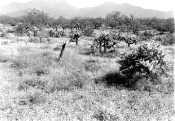 Photo Archive No. 274.2.1948.09