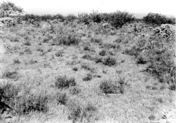 Photo Archive No. 279.2.1948.09
