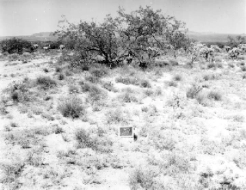 Photo Archive No. 281.2.1960.04