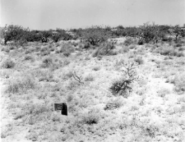 Photo Archive No. 281.1.1960.04