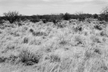 Photo Archive No. 281.1.2000.04