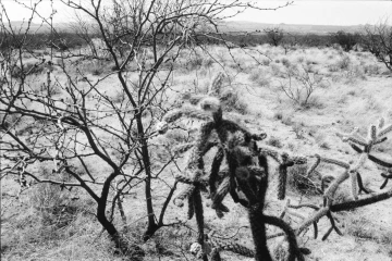 Photo Archive No. 281.2.2000.04