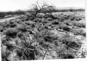 Photo Archive No. 281.2.1988.02