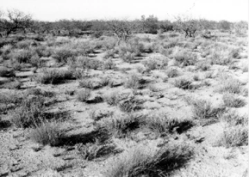Photo Archive No. 281.1.1988.02