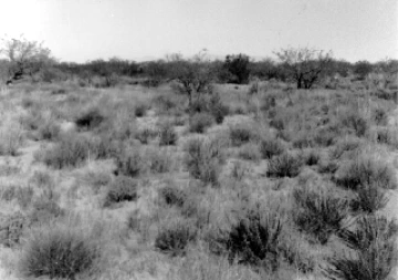 Photo Archive No. 281.1.1984.11