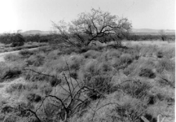 Photo Archive No. 281.2.1984.11