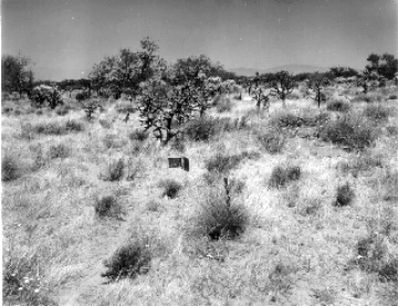 Photo Archive No. 283.1.1960.04