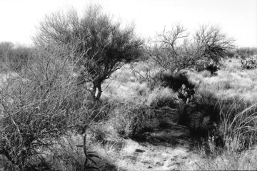 Photo Archive No. 283.2.2000.04