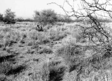 Photo Archive No. 283.1.1988.02