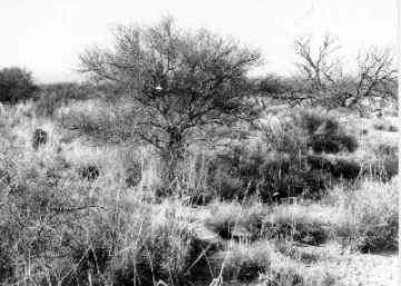 Photo Archive No. 283.2.1988.02