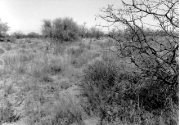 Photo Archive No. 283.1.1984.11