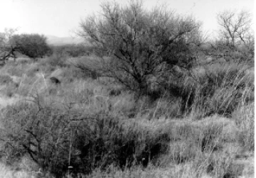 Photo Archive No. 283.2.1984.11