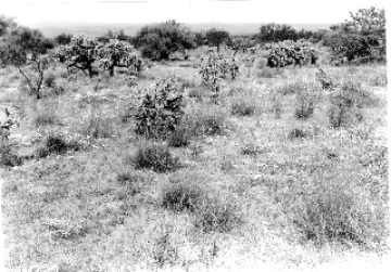Photo Archive No. 283.2.1948