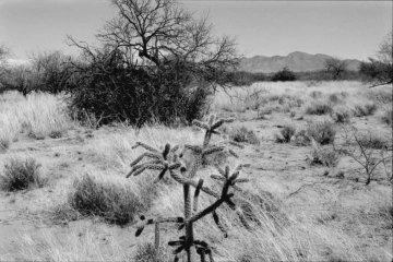 Photo Archive No. 289.1.2000.04