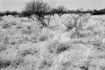 Photo Archive No. 289.2.2000.04