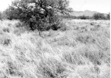 Photo Archive No. 289.1.1987.07