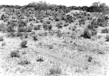 Photo Archive No. 289.2.1948