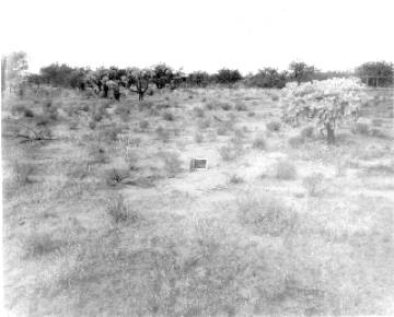 Photo Archive No. 299.1.1960.08