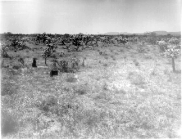 Photo Archive No. 301.2.1960.08
