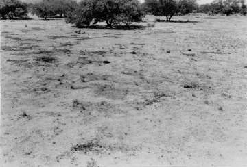 Photo Archive No. 304.2.1949