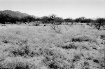 Photo Archive No. 304.2.2000.04