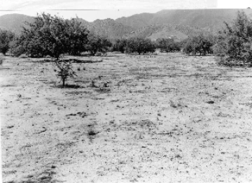 Photo Archive No. 304.1.1949 Photo Archive No. 304.1.1949