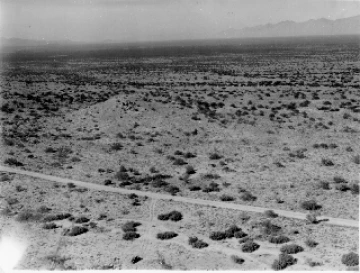 Photo Archive No. 332.1.1950.11