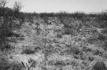 Photo Archive No. 337.1.2003.04