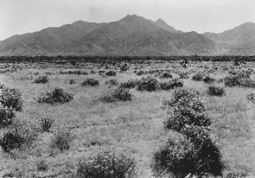 Photo Archive No. 339.1.1935.10 Photo Archive No. 339.1.1935.10