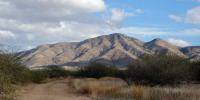 View of the Santa Rita Mountains from the SRER